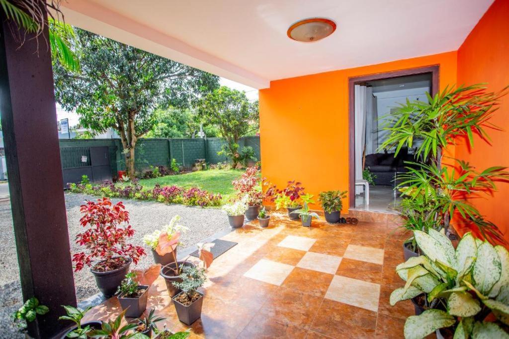 Hotel Blue Bird Negombo Buitenkant foto