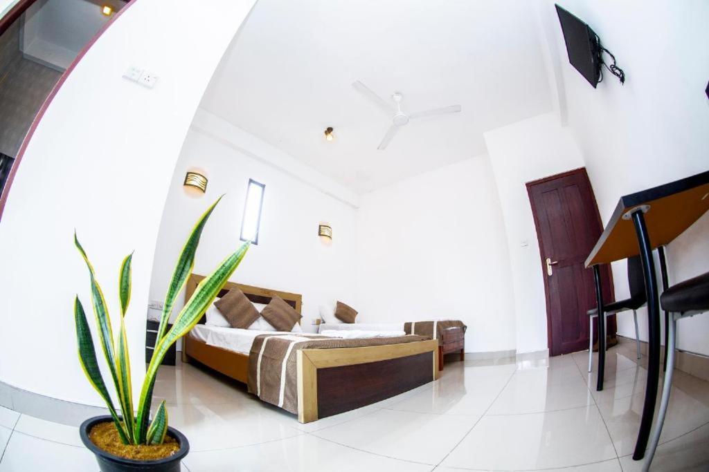 Hotel Blue Bird Negombo Buitenkant foto